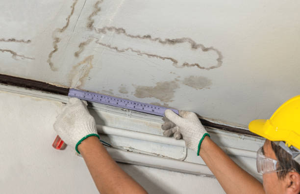Reliable Water Damage Repair contractor in Tenino, WA by Aqua Guard Water Damage